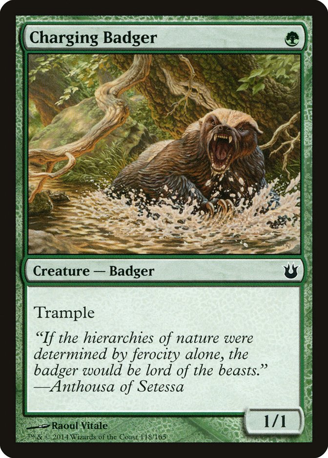 Charging Badger | BNG