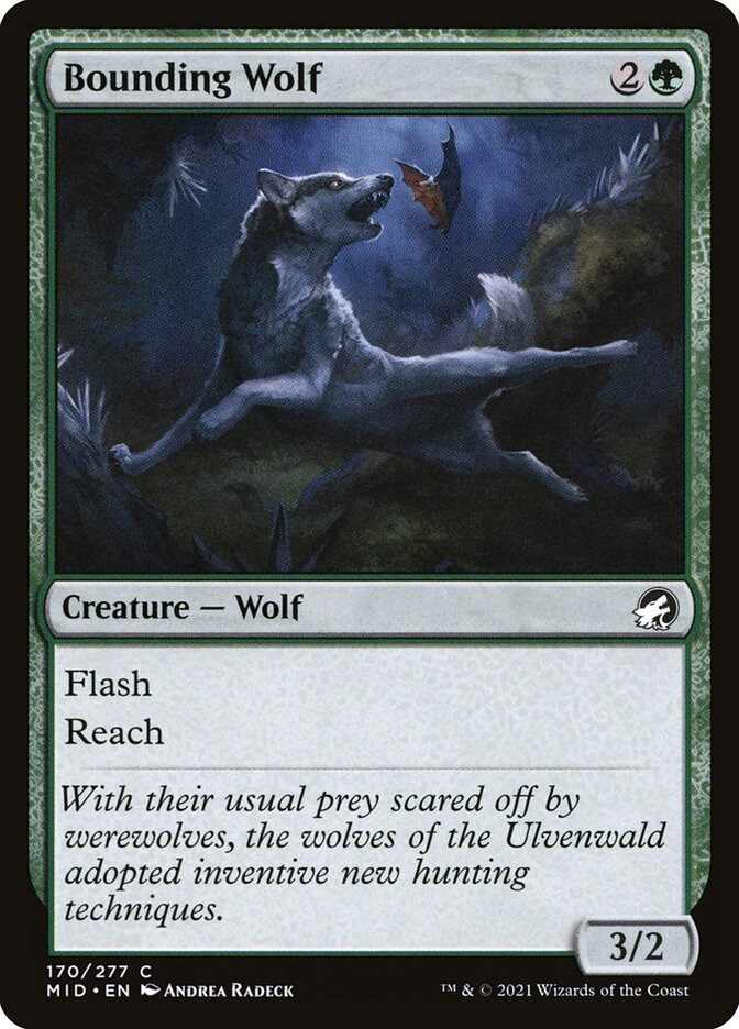 Card Scan of Bounding Wolf | MID