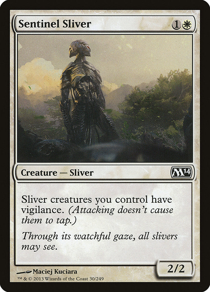 Sentinel Sliver | M14