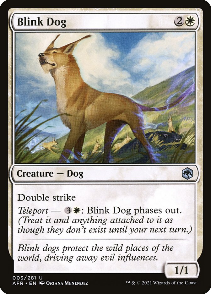 Blink Dog | AFR