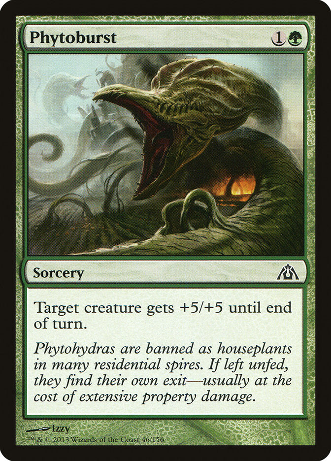 Phytoburst | DGM