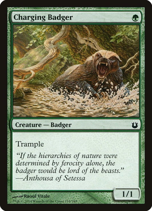 Charging Badger | BNG