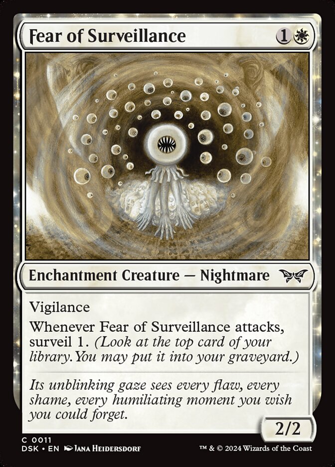 Fear of Surveillance | DSK