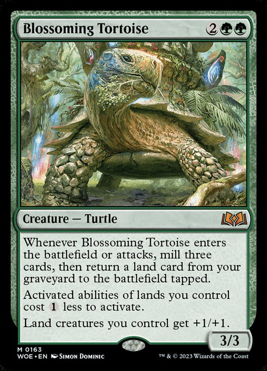 Blossoming Tortoise | WOE