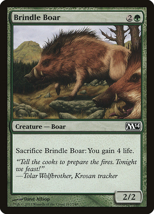 Card Scan of Brindle Boar | M14