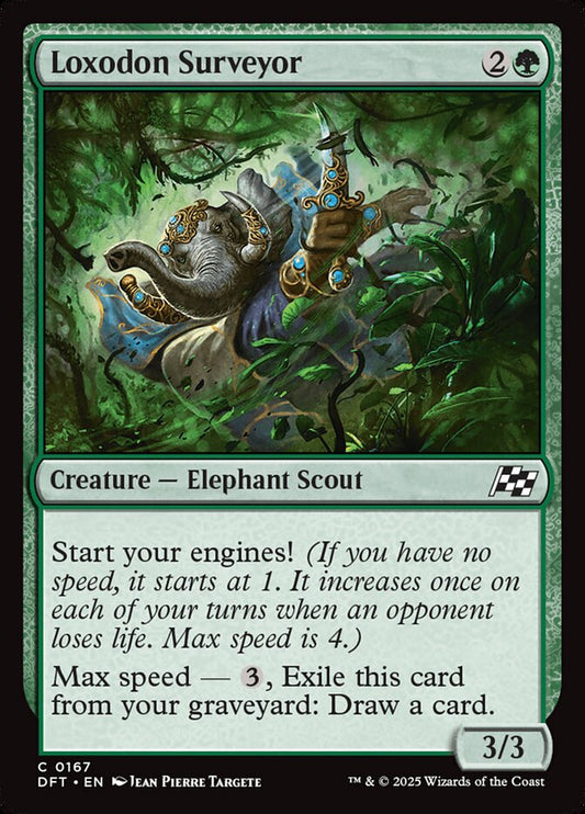 Loxodon Surveyor | DFT