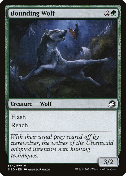 Bounding Wolf | MID