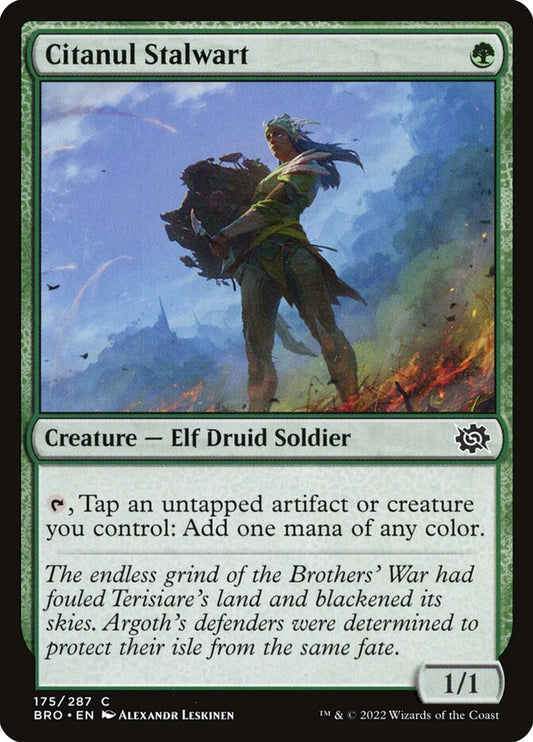 Citanul Stalwart | BRO