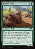 Card Scan of Pothole Mole | DFT