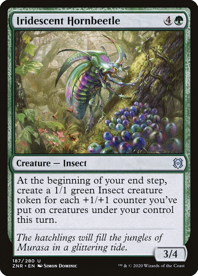 Iridescent Hornbeetle | ZNR