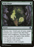 Wild Shape | AFR (Foil)