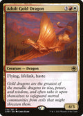 Adult Gold Dragon | AFR