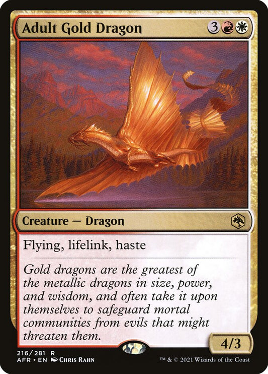 Adult Gold Dragon | AFR