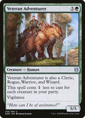 Veteran Adventurer | ZNR