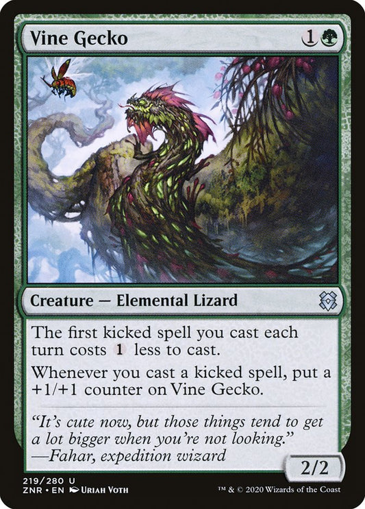 Vine Gecko | ZNR
