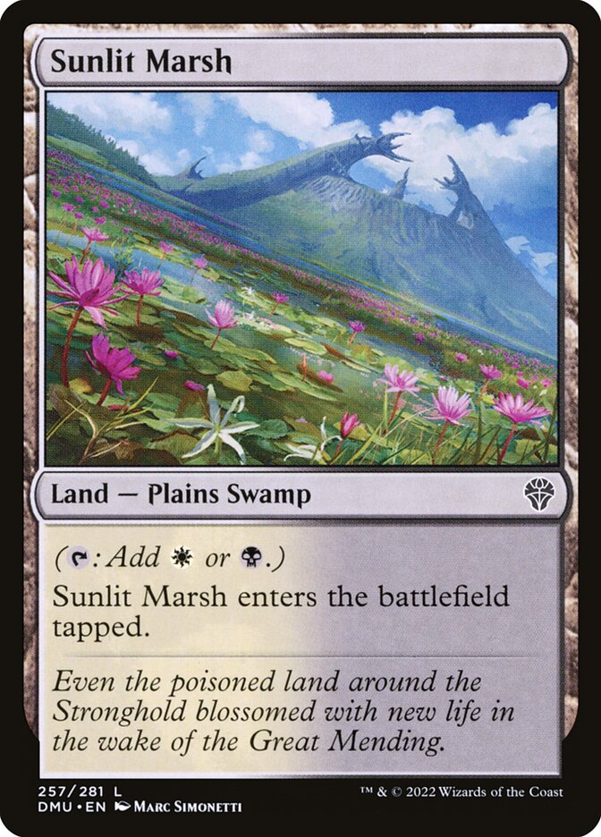 Card Scan of Sunlit Marsh | DMU