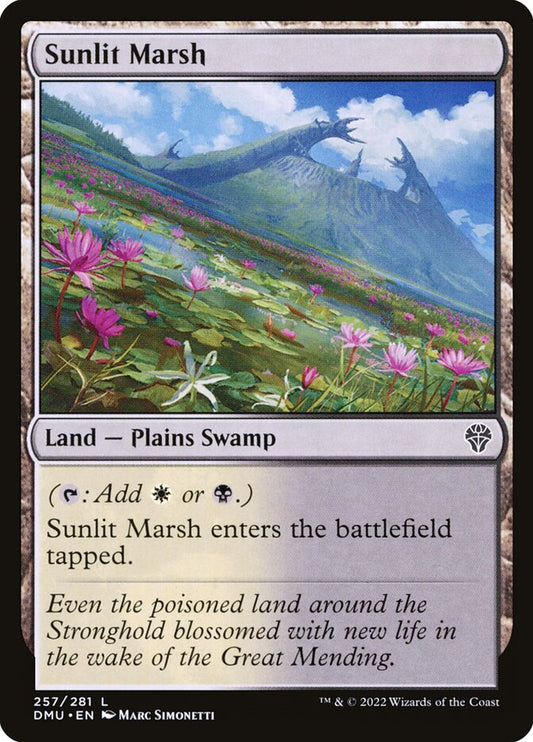 Sunlit Marsh | DMU