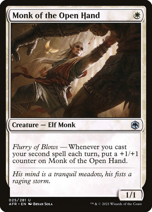 Monk of the Open Hand | AFR