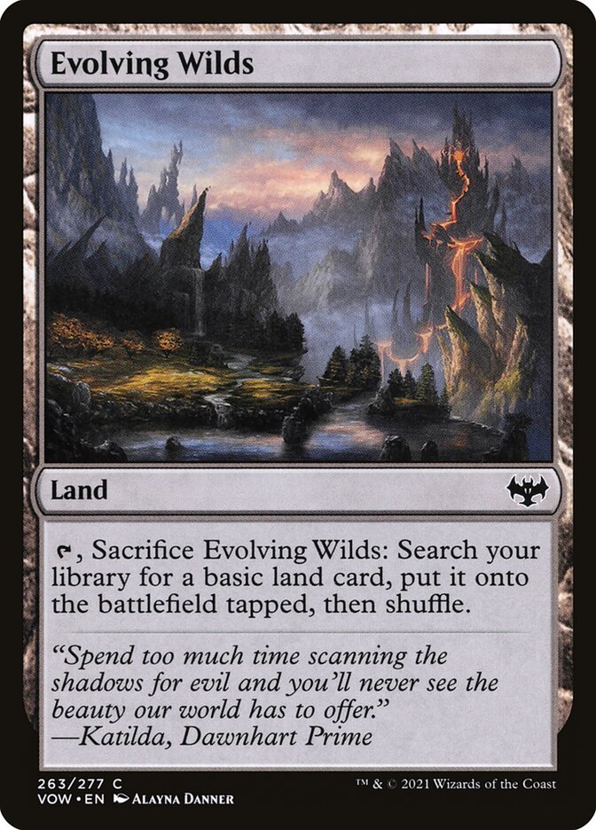 Card Scan of Evolving Wilds | VOW