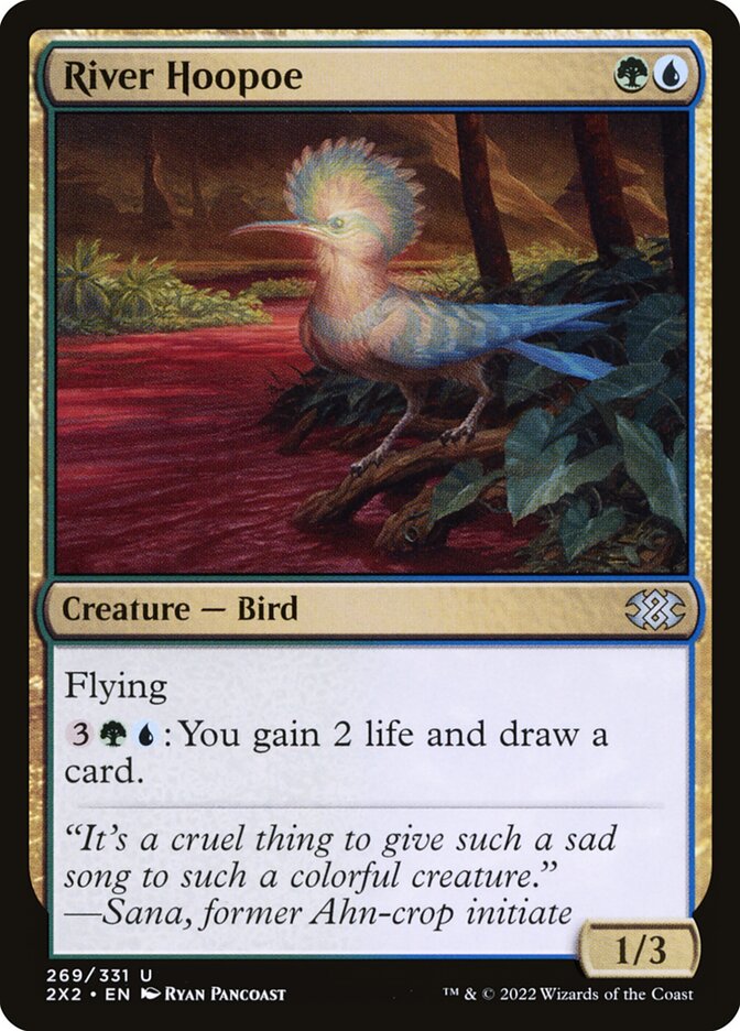 River Hoopoe | 2X2