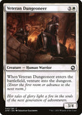 Veteran Dungeoneer | AFR (Foil)
