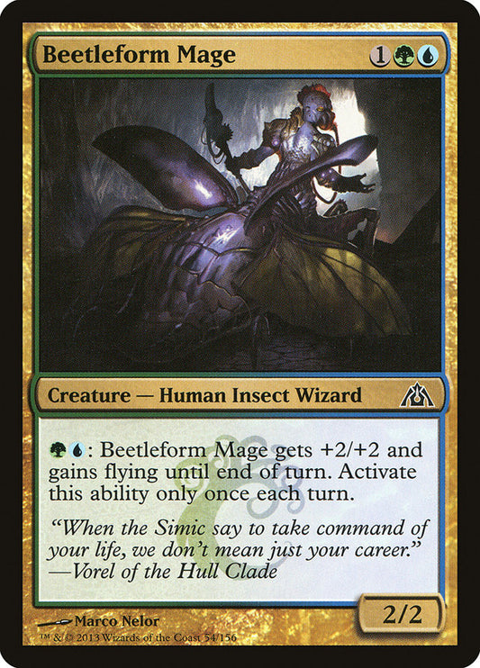 Beetleform Mage | DGM