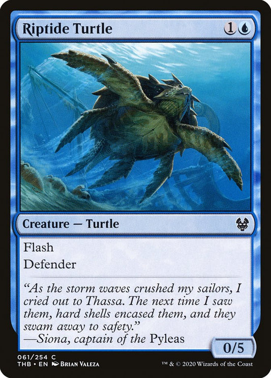 Riptide Turtle | THB