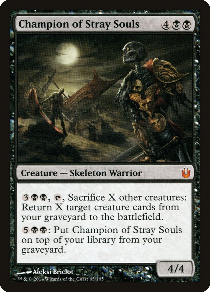 Champion of Stray Souls | BNG
