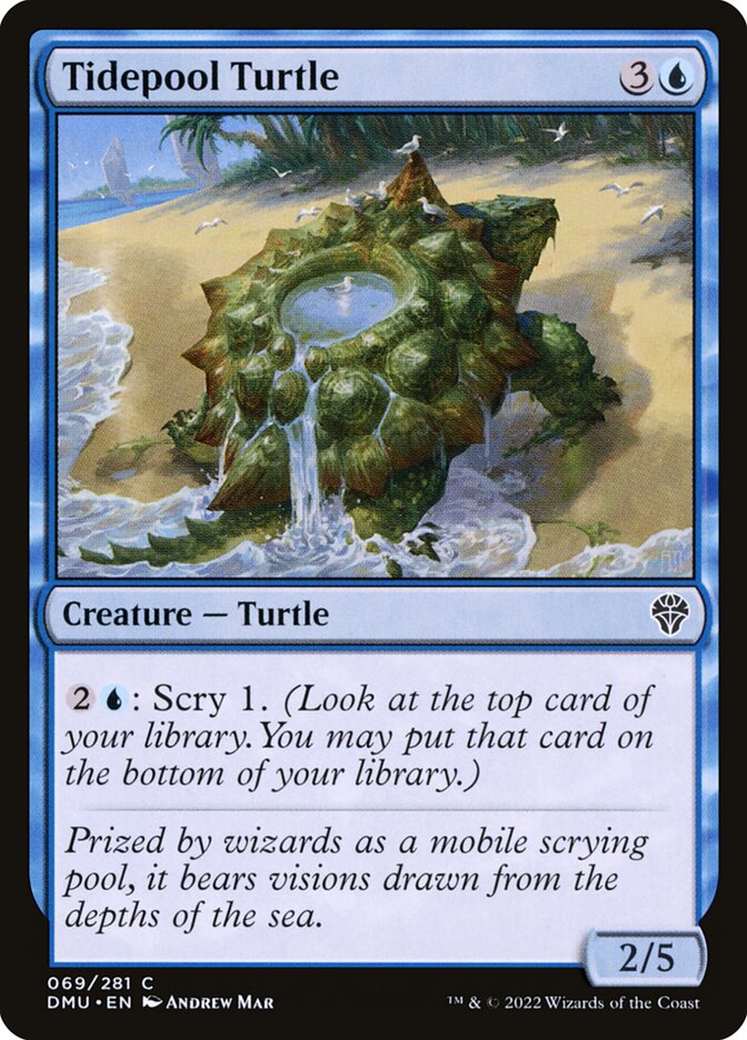 Card Scan of Tidepool Turtle | DMU