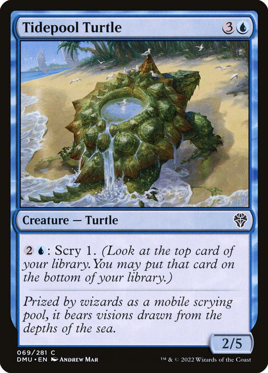 Tidepool Turtle | DMU