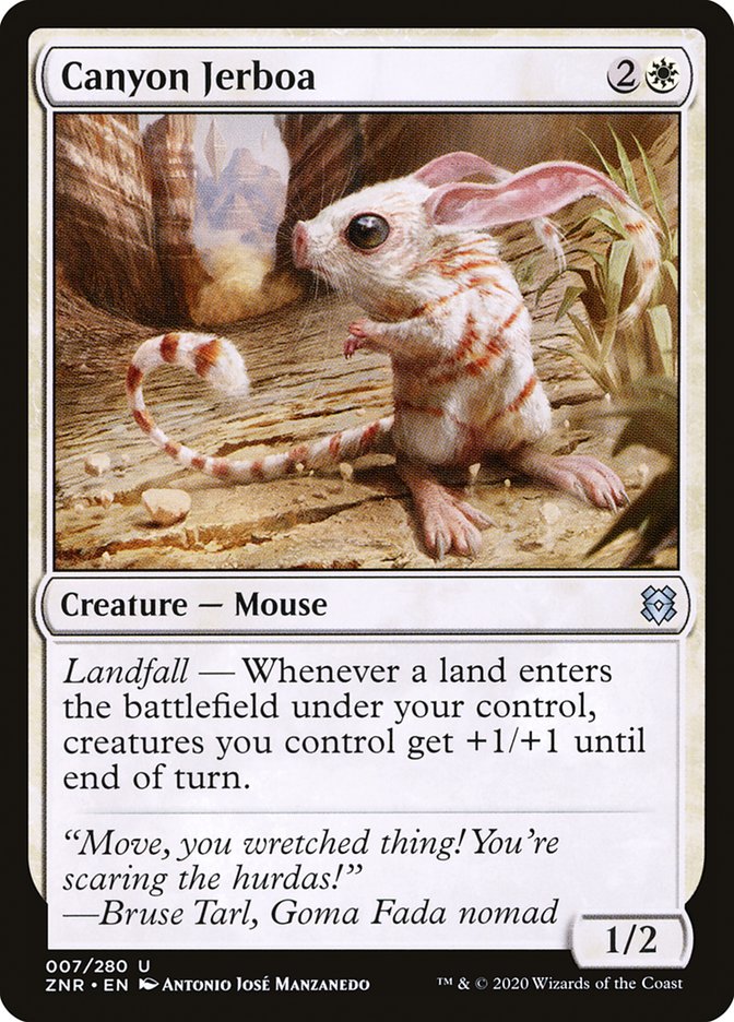 Canyon Jerboa | ZNR