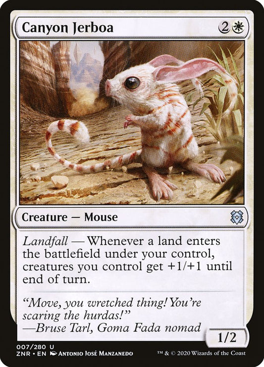 Canyon Jerboa | ZNR