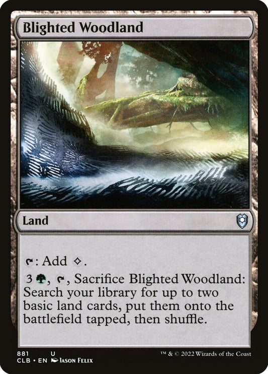 Blighted Woodland | CLB