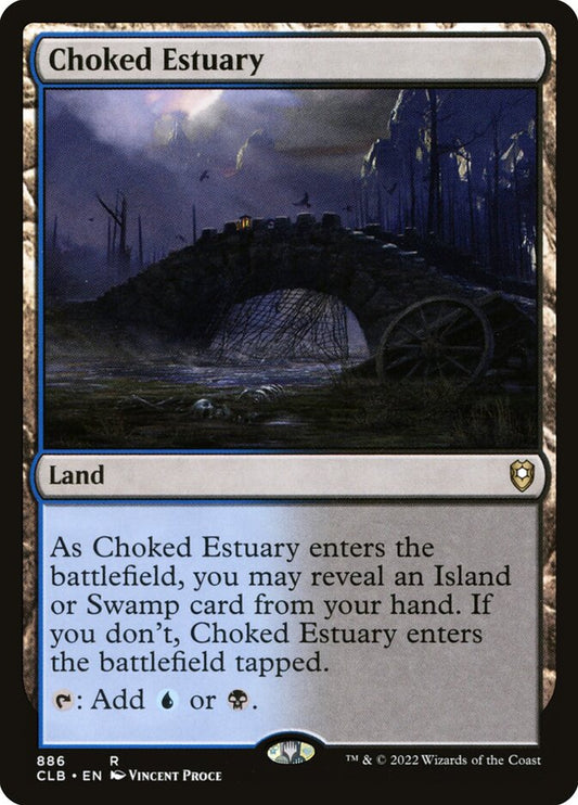 Choked Estuary | CLB