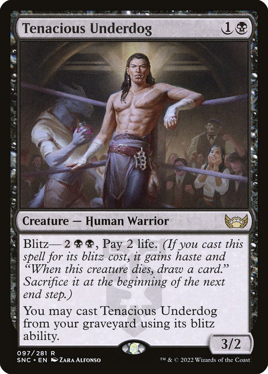 Tenacious Underdog | SNC