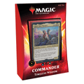 Commander 2020 | Timeless Wisdom